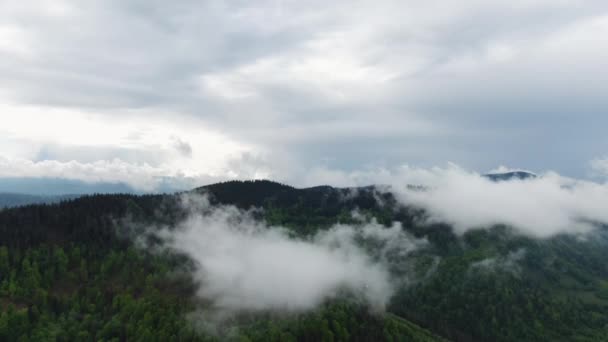 Wolken over regenwoud jungle. Luchtfoto van het regenwoud. — Stockvideo