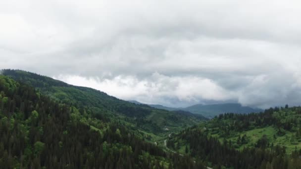 Bosque brumoso, vista aérea volando entre las nubes — Vídeo de stock