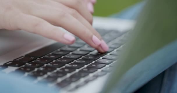 Utilice la computadora mientras está sentado en la hierba. Primer plano de las manos femeninas escribiendo en el portátil al atardecer en el parque — Vídeos de Stock