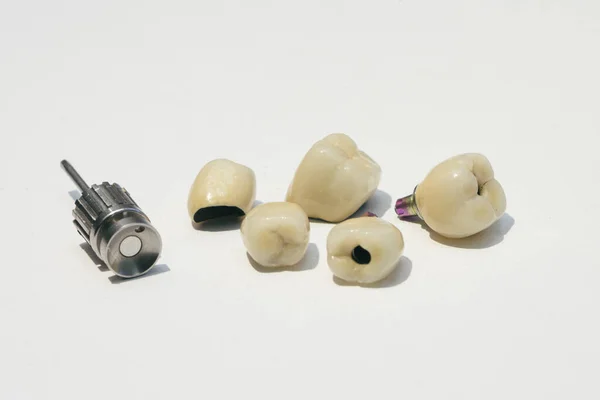 Zubní zirkoniové implantáty pro ortopedický šroubovák — Stock fotografie