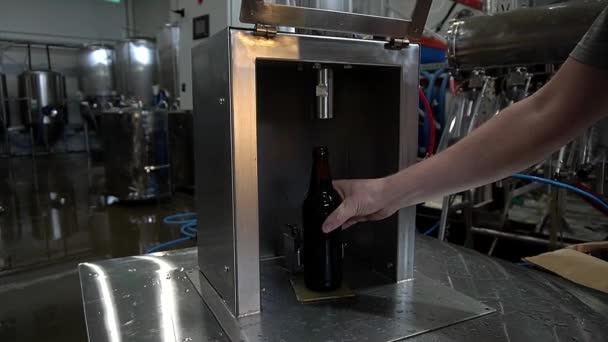 Процесс Укупорки Стеклянной Пробкой Бутылки Пива Система Розлива Пива Пивоваренное — стоковое видео