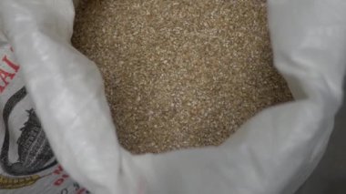 Poşette bira maltlığı. Çiğnedikten sonra malt. Bira üretimi. Yavaş çekim.