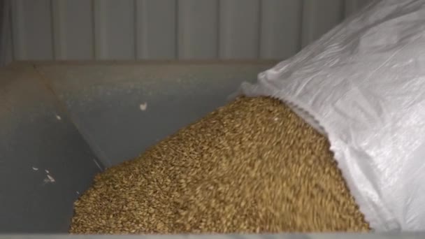 Ezici Ekipmanların Malt Hopper Ina Bira Dökme Süreci Malt Ezici — Stok video