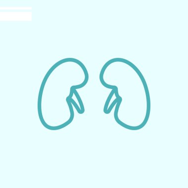 böbrekler renk web simgesi. vektör çizim