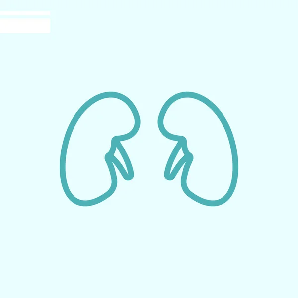 Kidneys Color Web Icon Vector Illustration — Stock Vector