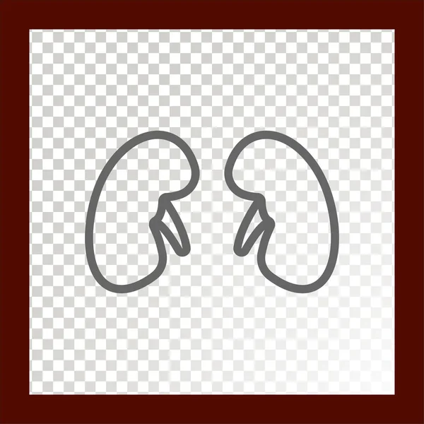 Kidneys Color Web Icon Vector Illustration — Stock Vector