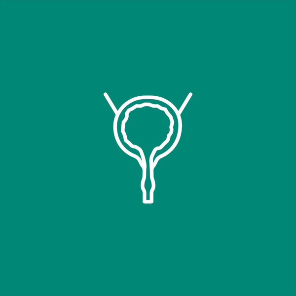 Urinary bladder organ icon