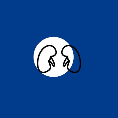 böbrek düz vektör simge renkli arka plan üzerinde