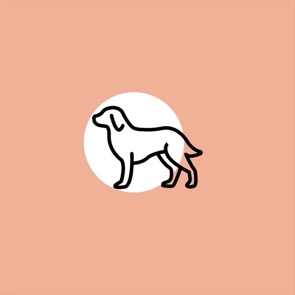 dog flat vector icon on colorful background