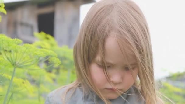 Niña solitaria se para junto a la hierba alta y tristemente mira hacia abajo — Vídeos de Stock