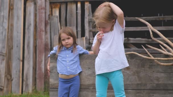 Twee kleine schattige triest meisjes zijn poseren in een rustieke omgeving — Stockvideo