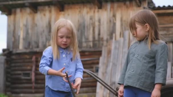 Duas meninas engraçadas brincando no quintal — Vídeo de Stock