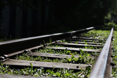 Unutulmuş paslı demiryolu yeşil çim ile ormanda terk edilmiş bir