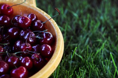 Frsh kiraz yeşil çimenlerin üzerinde turuncu kasede bir demet