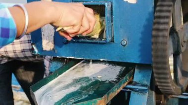 Hindistan'da şeker kamışı suyu sıkma.