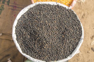 Bir çuval içinde siyah urad dal fasulye mercimek. 