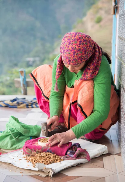 Jonge Himachali Vrouw Traditionele Jurk Kraken Noten Met Een Hamer — Stockfoto