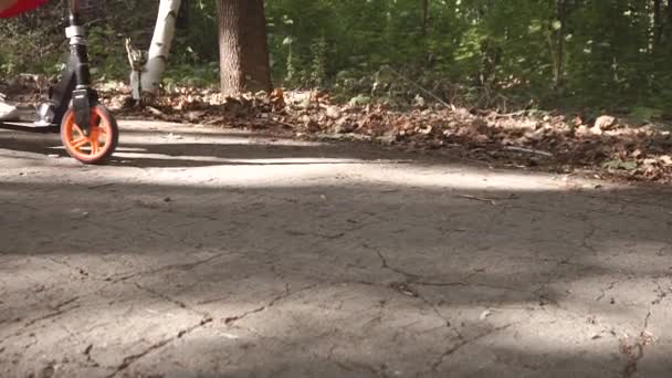 Linda hija pequeña disfrutar paseo patada scooter al aire libre.Funny Adorable niña feliz jugando en el parque . — Vídeo de stock