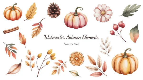 Balkabakları, yapraklar, böğürtlenler, kozalaklar ve çiçek elementleriyle suluboya sonbahar vektörü oluşturuldu. Kalıplar, davetiyeler, kartlar, el sanatları, ambalajlama, markalaşma ve mevsimsel tasarım için mükemmel.