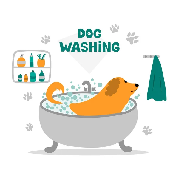 Banyo Yaparken Bir Köpek Köpek Yıkama Köpek Bakım — Stok Vektör