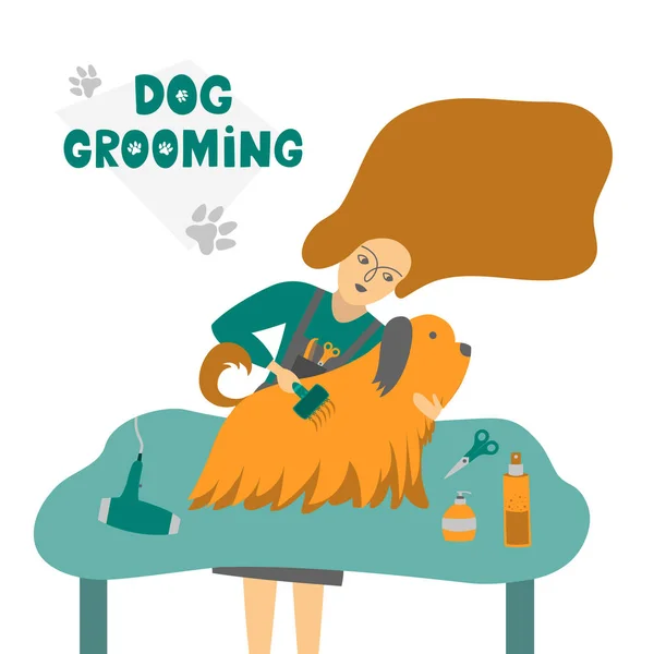 Χαριτωμένος Σκύλος Στο Σαλόνι Groomer Εικονογράφηση Φορέα Για Κατοικίδιο Ζώο — Διανυσματικό Αρχείο