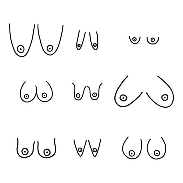 Conjunto de mama feminina desenhada à mão . —  Vetores de Stock
