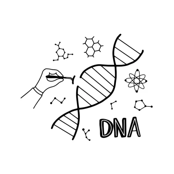 Doodle Genome symboler. — Stock vektor
