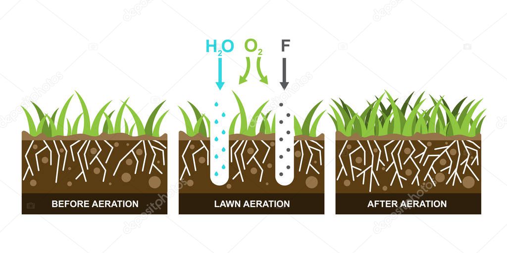 Vector illustration with lawn aeration.
