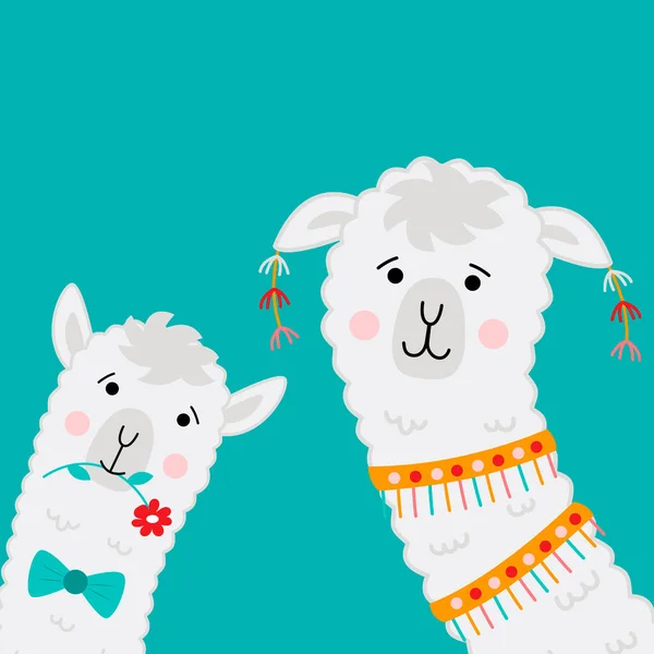 Caras Lama Giras Alpaca Dos Desenhos Animados Ilustração Vetorial Com —  Vetores de Stock