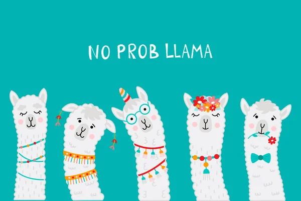 Cute Llama Face Prob Llama 알파카 일러스트는 얼굴로 포스터 인사장 — 스톡 벡터