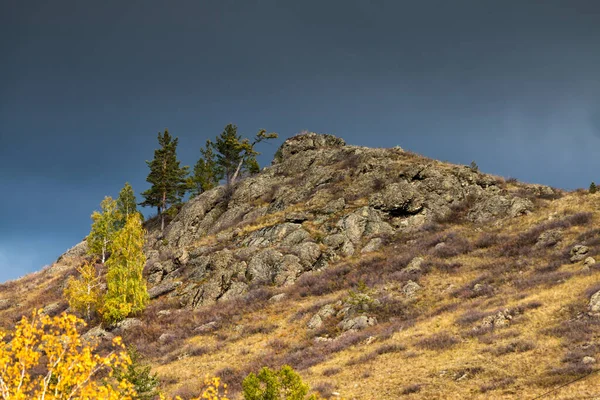 Rocky Mountain Peak Covered Trees Cloudy Autumn Day — Stock Photo, Image