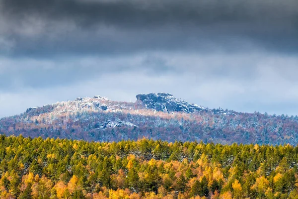 Autumn Forest Rocky Mountains Covered Snow Cloudy Day — Stock Photo, Image