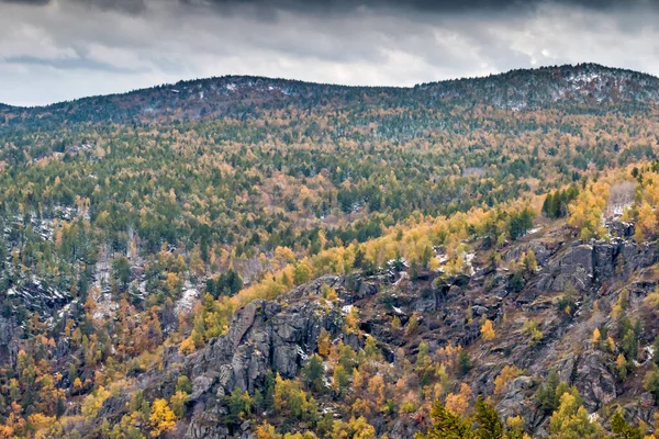 Rocky Mountain Ranges Autumn Forest — Stock Photo, Image