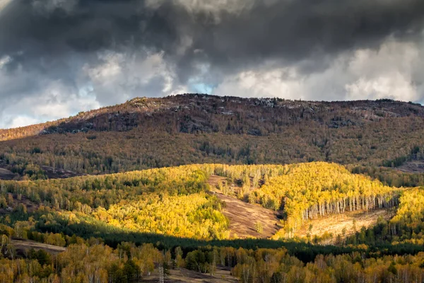Golden Colors Autumn Forest Mountains Cloudy Day — Stock Photo, Image