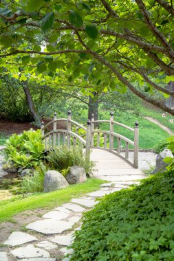 Green serene Japanese-style garden with a stone pathway leading to a small arched wooden bridge crossing a pond or stream surrounded by lush greenery and ferns