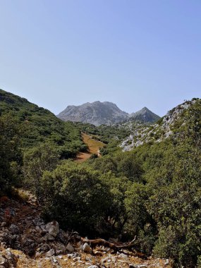 Olgun meşe ağaçlarında halılarla kaplı tepeler ufka doğru yuvarlanıyor, yapraklı taçları yumuşak, yeşil bir battaniye oluşturuyor. Uzak mesafede Kelti Dağı 'nın silueti keskin bir şekilde yükselir, sarp sarp zirvesi.