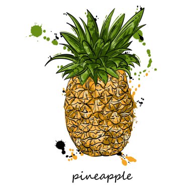 Ananas vektör soyut çizim.