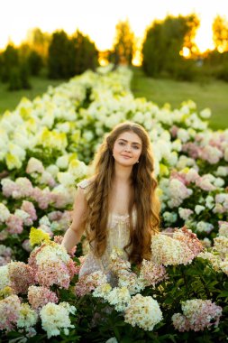 Klasik şık elbiseli güzel bir kadın parkta ortancalar arasında poz veriyor.