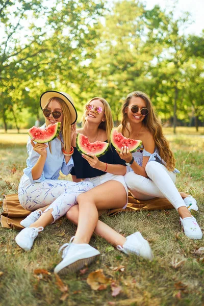 楽しい つの素敵な女の子公園でスイカを食べるします 優秀な日当たりの良い天気 美しいフィギュアです スーパー気分 夏のコンセプト — ストック写真