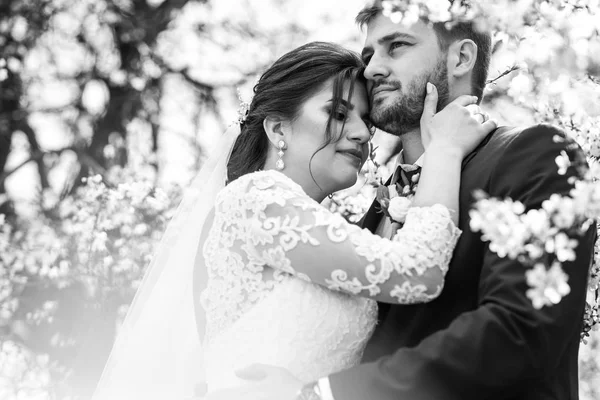 Noiva Jovem Bonita Noivo Desfrutar Uns Dos Outros Casamento Casal — Fotografia de Stock