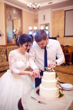 Bir gelin ve damat onların düğün pastası kesme. güzel pasta. Nikel ışık. Düğün kavramı