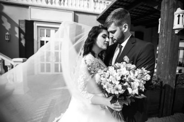 Güzel gelin ve damat hoşlanıyoruz. onların evlilik kutlama mutlu romantik genç bir çift. Aşıkların seksi öpüşme şık çift portre kadar kapatın. Düğün kavramı.