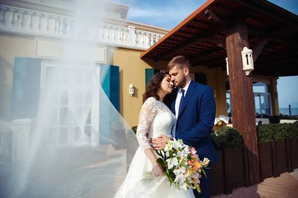 Güzel gelin ve damat hoşlanıyoruz. onların evlilik kutlama mutlu romantik genç bir çift. Aşıkların seksi öpüşme şık çift portre kadar kapatın. Düğün kavramı.