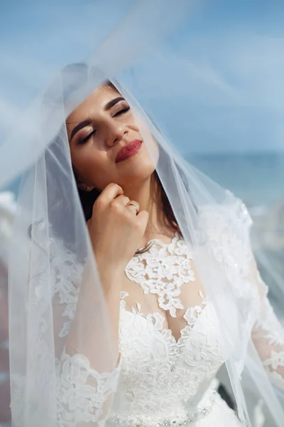 Beautiful Bride White Wedding Dress Enjoying Moment Backboard Beautiful Arch — Stock Photo, Image