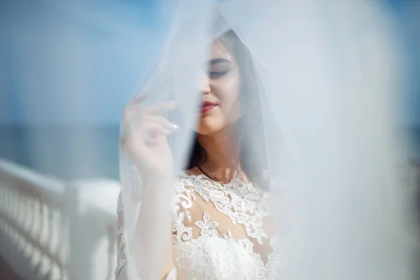 Beautiful Bride White Wedding Dress Enjoying Moment Backboard Beautiful Arch — Stock Photo, Image