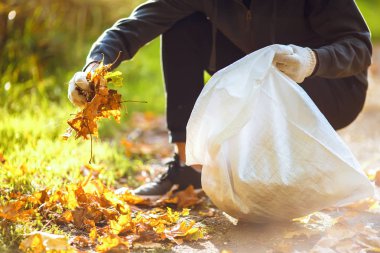 genç çocuk düşen yapraklar temizler. saflık kavramı. sonbahar yaprakları. saflık. Çevre. otdoor. ellerinde eldiven. güneşli havalarda. worker.Volunteering, sadaka, temizlik, insanlar ve ekoloji kavramı.