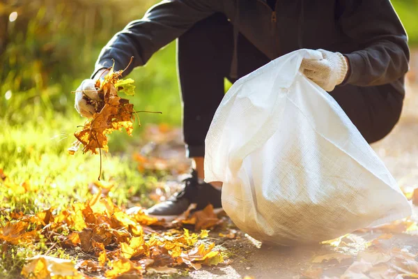 genç çocuk düşen yapraklar temizler. saflık kavramı. sonbahar yaprakları. saflık. Çevre. otdoor. ellerinde eldiven. güneşli havalarda. worker.Volunteering, sadaka, temizlik, insanlar ve ekoloji kavramı.