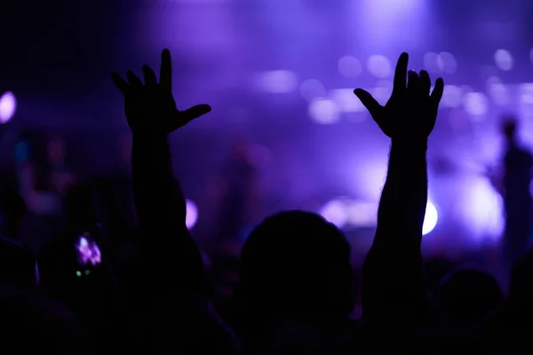 Guys Put Hands Enjoy Music Crowd Concert Summer Music Festival — Stock Photo, Image
