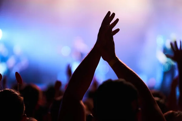Παιδιά Παρουσιάζονται Χέρια Τους Και Απολαμβάνουν Μουσική Πλήθος Στην Συναυλία — Φωτογραφία Αρχείου