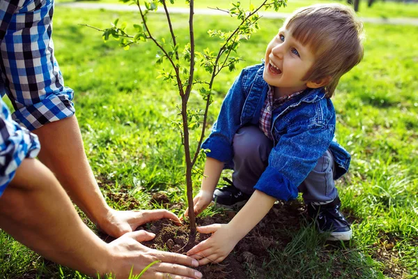 Elele çocuk ile baba. küçük çocuk birlikte bahçede çalışırken ağaç dikmek için babasına yardım. Pazar. güler yüz. bahar zamanı. büyüyen Fideler ile gönüllü 